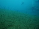 tulamben (36)